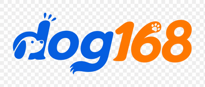 dog168